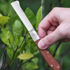 Garden Grafting Knife