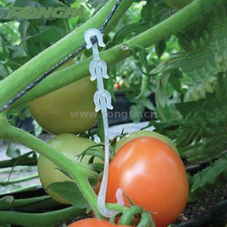 Garden Plastic Tomato hooks 